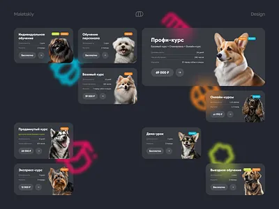 Groom Academy. Courses academy cards cats courses dogs groom pets school ui web design website