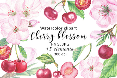 Watercolor Clipart Cherry Flower Blossom, fruit illustration bloom branding cherry cherry blossom clipart design flowers food fruit clipart green leaf hand painted illustration leaves logo pink flower print sublimation summer watercolor wedding