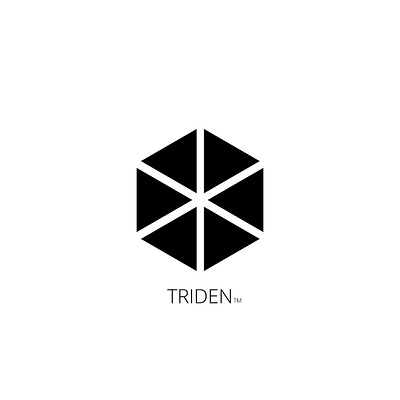 #Triden_TRademark_Logo_DEsign branding logo