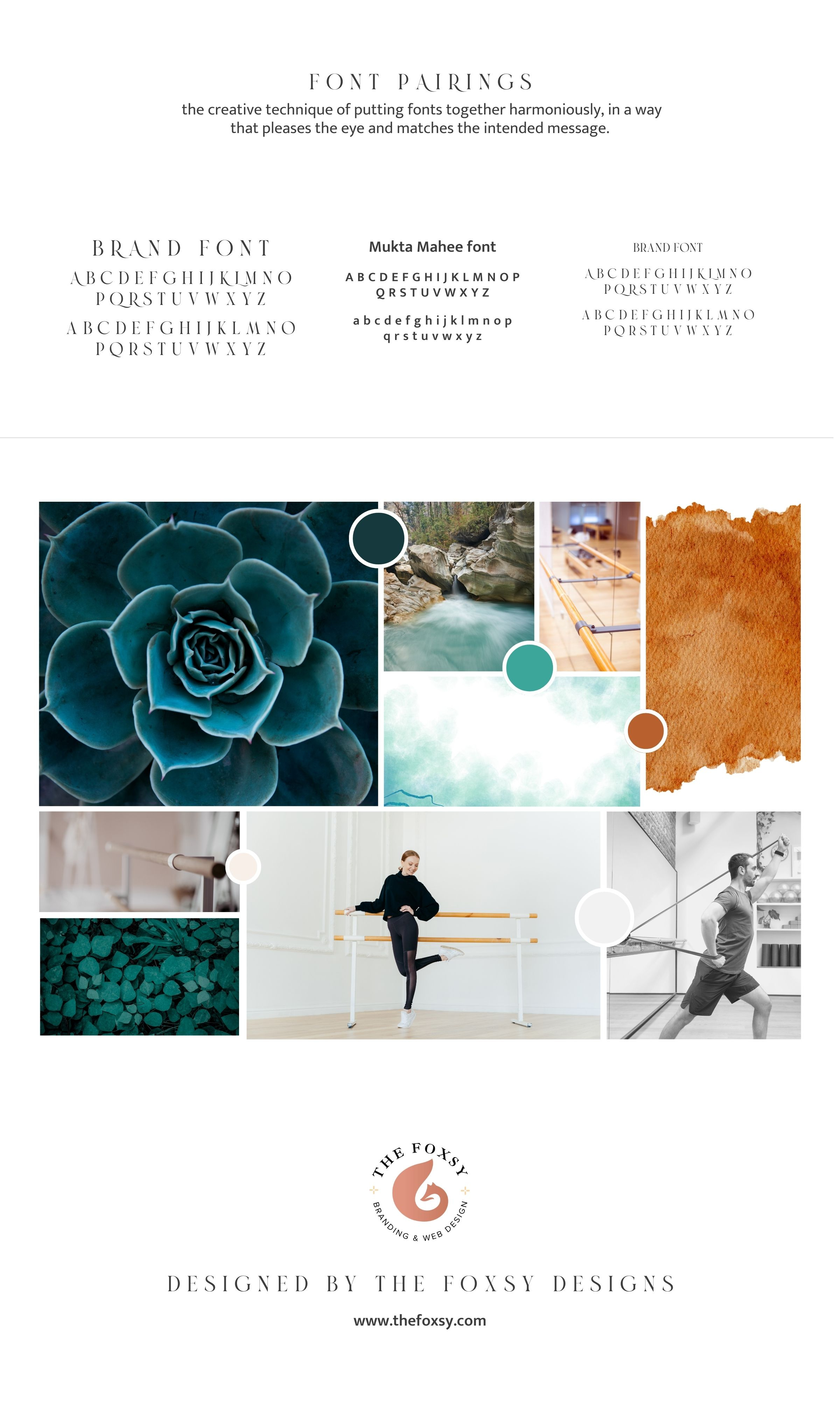 Fluid Power Barre Fitness Project by Carol LaFurno Passionate 
