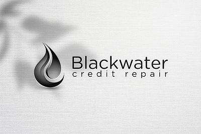 Black Water (Logo Design) branding logo logodesign
