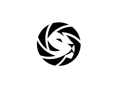 Lion animal branding camera lion logo logodesign photo photography rokac shutter symbol