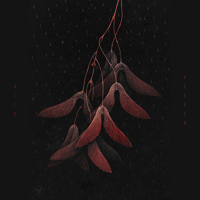 Red Maple – Botanical Illustration botanical drawing graphic design graphics illustration photoshop raster graphics tree wacom