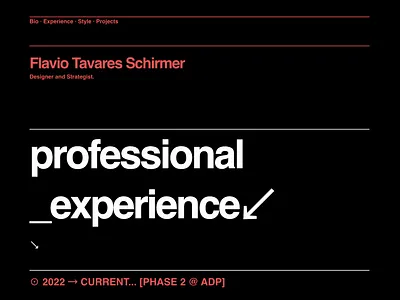 2023 portfolio website coming up! 2023 career characters css cv dark designer flavio flaviofts html linkedin portfolio pro symbols website wip