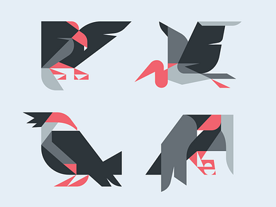 Birds of Prey aviary birds branding clothing design eagle falcon graphic design hawk illustration logo merch nature stork vector vulture wings