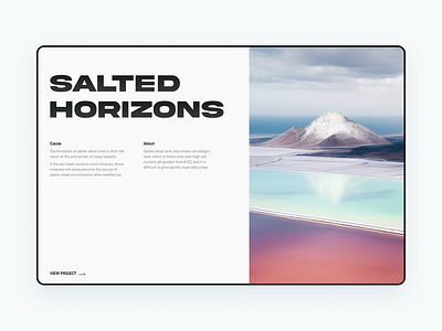Salted Horizons color design ui ux web