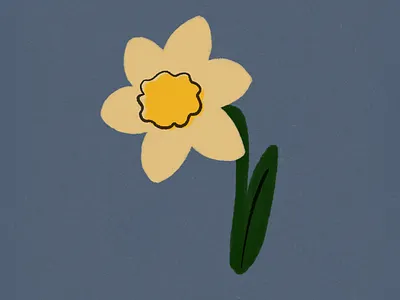 daffodil digital art illustration procreate