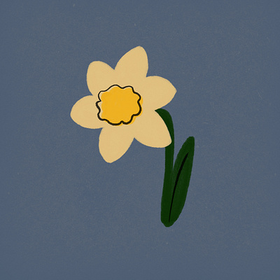 daffodil digital art illustration procreate