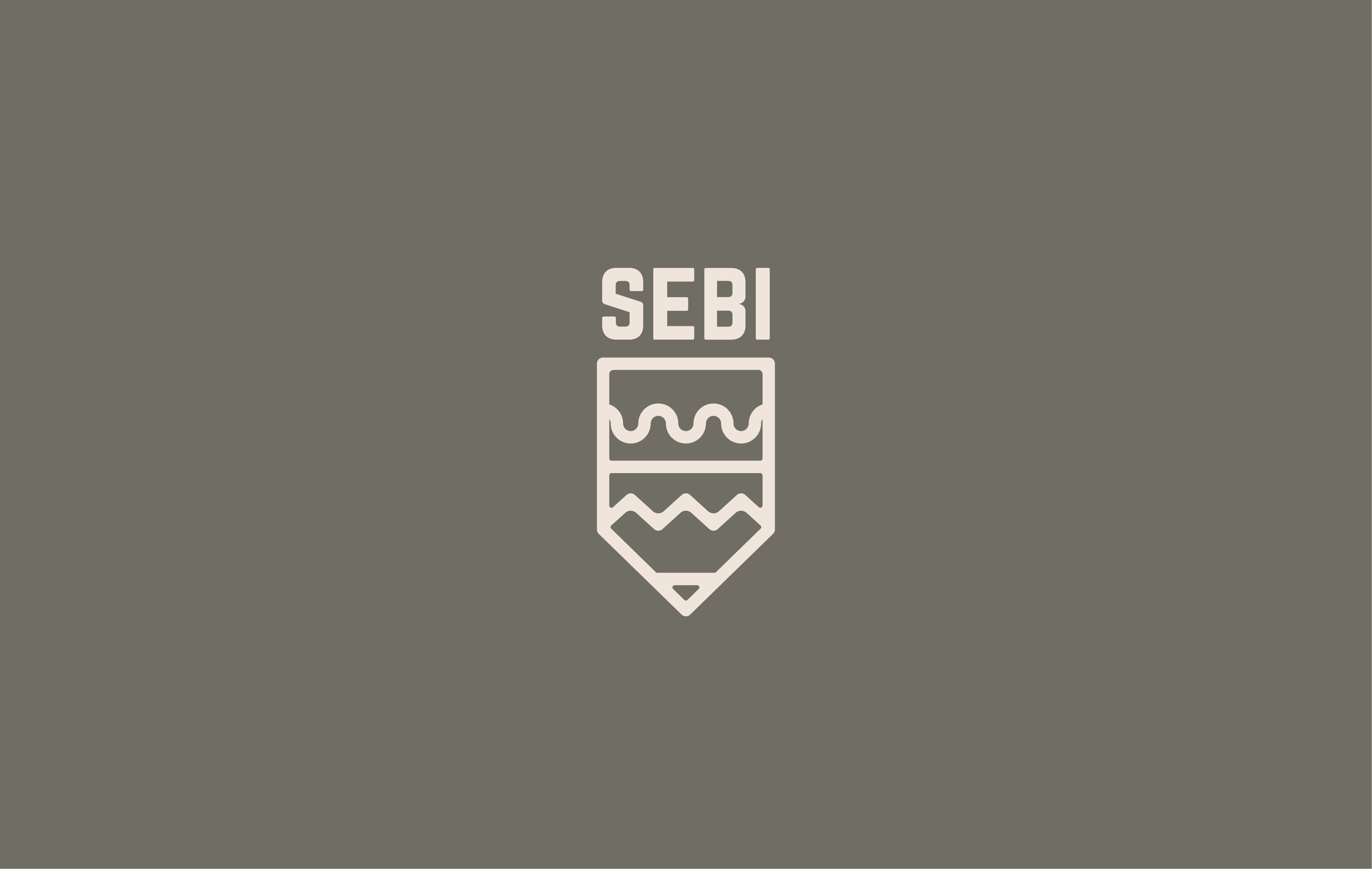 Sebi - Brand Design artist brand brand design brand identity branding earth tone graphic design logo logo design minimal minimalist