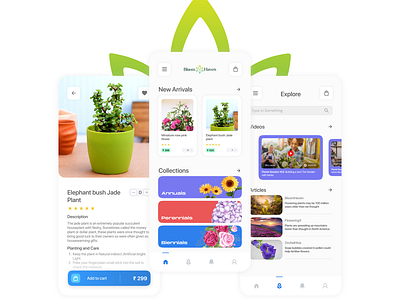 Bloom Haven Flowers App app bloom branding design flowers green illustration logo read typography ux vector