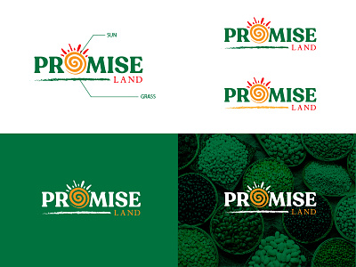 Promise Land Logo Design branding design graphic design icon illustration illustrator lettermark logo logo design minimal vector wordmark