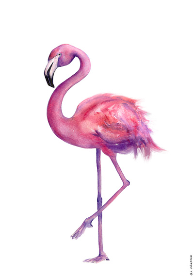 Watercolor flamingo animals animals illustration book illustration books illustration branding character development cute cute animals design flamingo graphic design illustration illustrations kids illustration logo watercolor