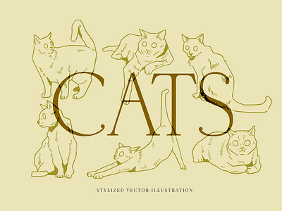 Cat illustrations animal branding cat cats design handdrawn illustration nature vector vintage