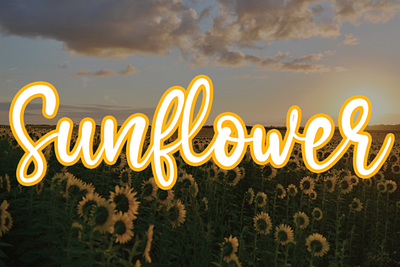 Sunflower Font 3d animation app branding design graphic design illustration logo motion graphics typography ui ux vector