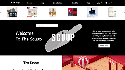 Website Design & Logo For The Scuup design logo ui web design website design