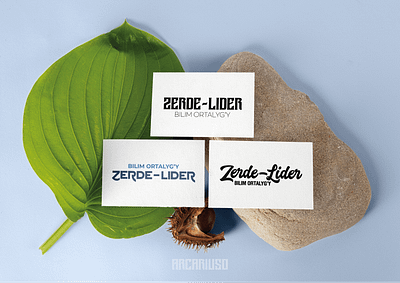 "Zerde" LOGO 2 art branding design graphic design illustration illustrator logo logo development logotype vector