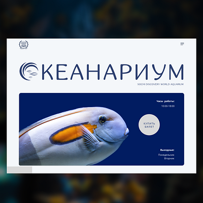 Oceanarium design oceanarium ui web web design