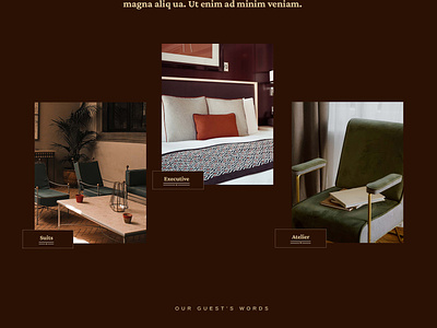 Hotel Website Design design graphic design ui