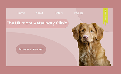 Veterinary Clinic Web Design animals ui vet web design
