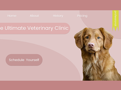 Veterinary Clinic Web Design animals ui vet web design