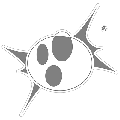 oO5 Dynasty Logo branding graphic design logo