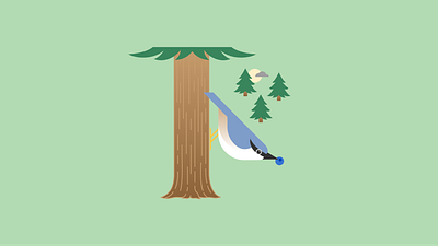 Nötväcka bird forest graphic design illustration sweden wood nuthatch