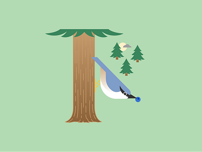 Nötväcka bird forest graphic design illustration sweden wood nuthatch