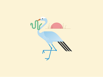 Blue Crane bird blue crane graphic design illustration snake south africa