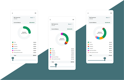 Expense Tracker app design mobile design ui