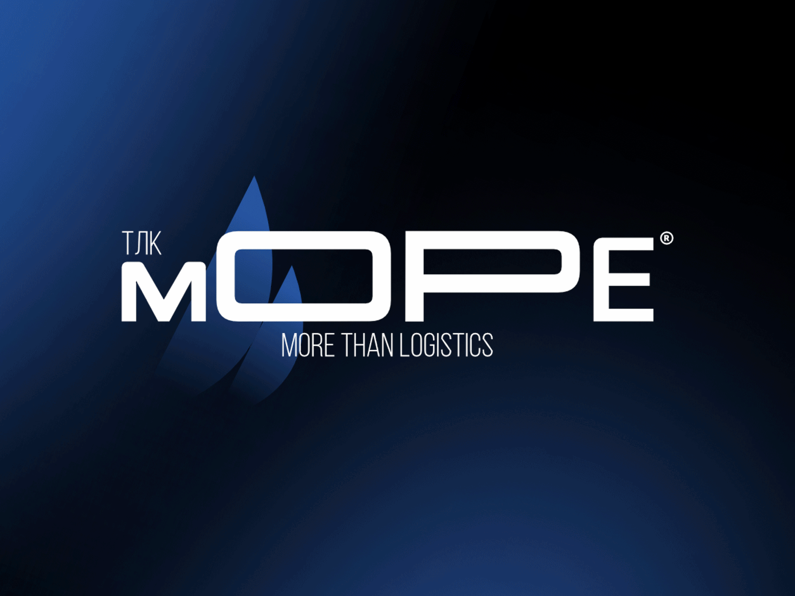 Sea. More than logistics. branding graphic design logo