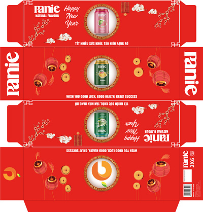 Lunar New Year Carton Box 2x6 branding design graphic design illustration