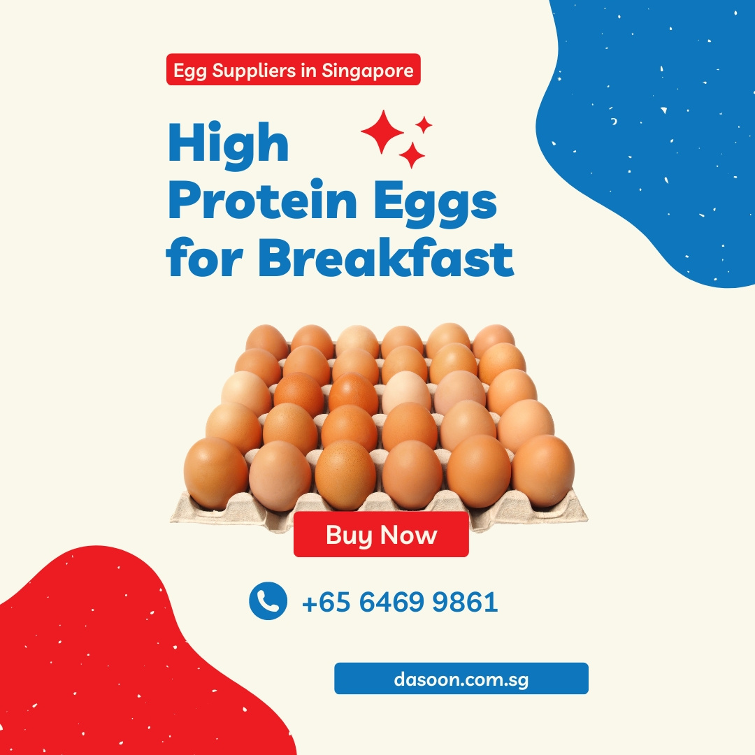 high-protein-eggs-for-breakfast-by-dasoon-on-dribbble