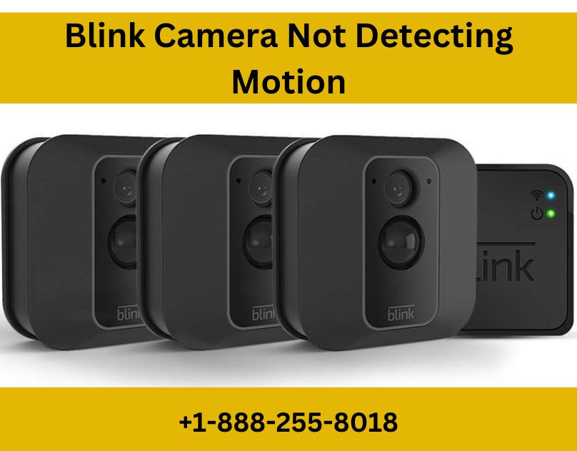 How to Fix Blink Camera Not Detecting Motion by Jacob Martin on Dribbble