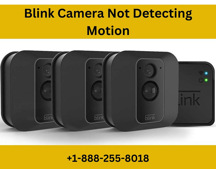 How to Fix Blink Camera Not Detecting Motion by Jacob Martin on Dribbble