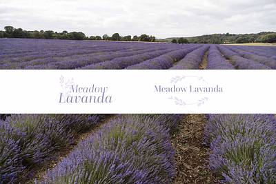 Meadow Lavanda branding graphic design illustration label design logo