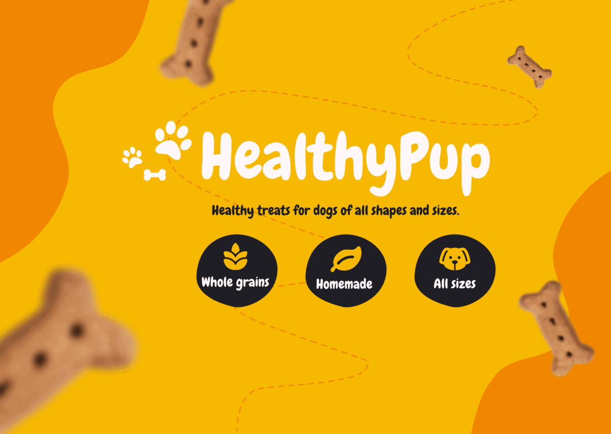 Visual direction for HealthyPup art direction branding concept design dog treats illustration logo