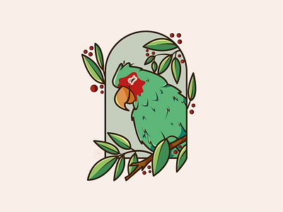 Happy Parrot 🦜 character characterdesign design illustration illustrator vector