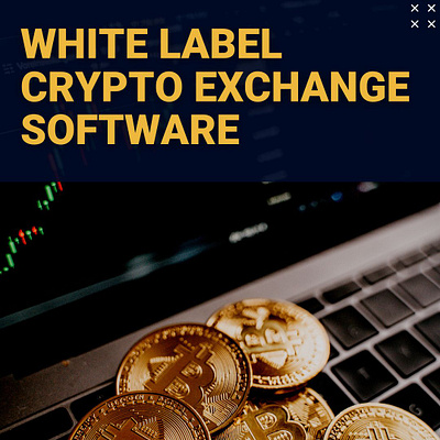 White Label Crypto Exchange Software – Best Solution for Startup crypto exchange crypto payment gateway cryptocurrency cryptocurrency exchange cryptocurrencypaymentgateway