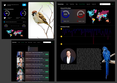 Trends Now Hired Me To Design These Three Pages design graphic design landing page ui ui ux design ux web design