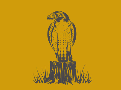 Birder bird birding design falcon illustration texture vector