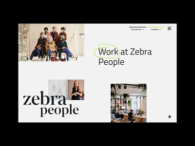 Zebra People / Web-UI Design design digital design ui ui design web web design website
