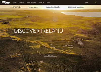 Website design - Ireland branding design graphic design illustration logo typography ui ux