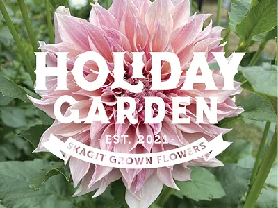 Holiday Garden branding and logo design by Type Affiliated branding design hand lettering lettering logo type affiliated