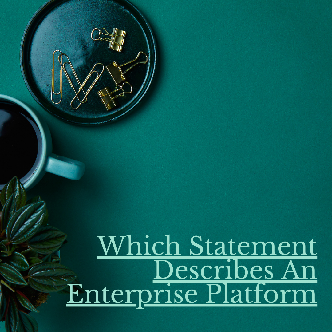 Which Statement Best Describes An Enterprise Platform by Shirley