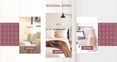 Seasonal Offers Website design element branding design graphic design interface offers sale ui web webdesign website xd