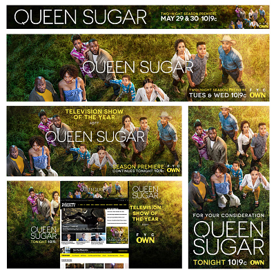 Queen Sugar FYC Emmy Awards Web Campaign digital banners digital marketing fyc graphic design photoshop tv marketing web design
