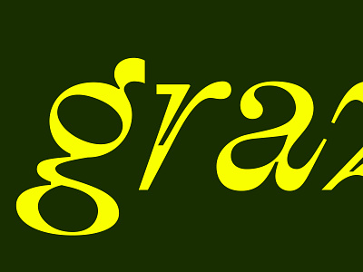 grazie funky itallic lettering logotype type typography wordmark