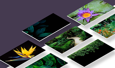 Floral backgrounds design photos ux ux design