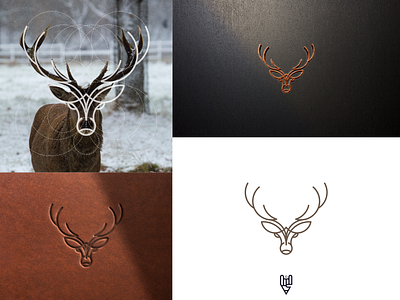 Deer Logo Design app branding deer design flat golden ratio graphic design grid logo icon illustration line art logo ui vector