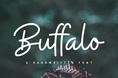 Buffalo : Script Font amtypes book branding buffalo calligraphy card clean cute design display font fancy font fonts hand made font illustration logo magazine monoline signature wedding